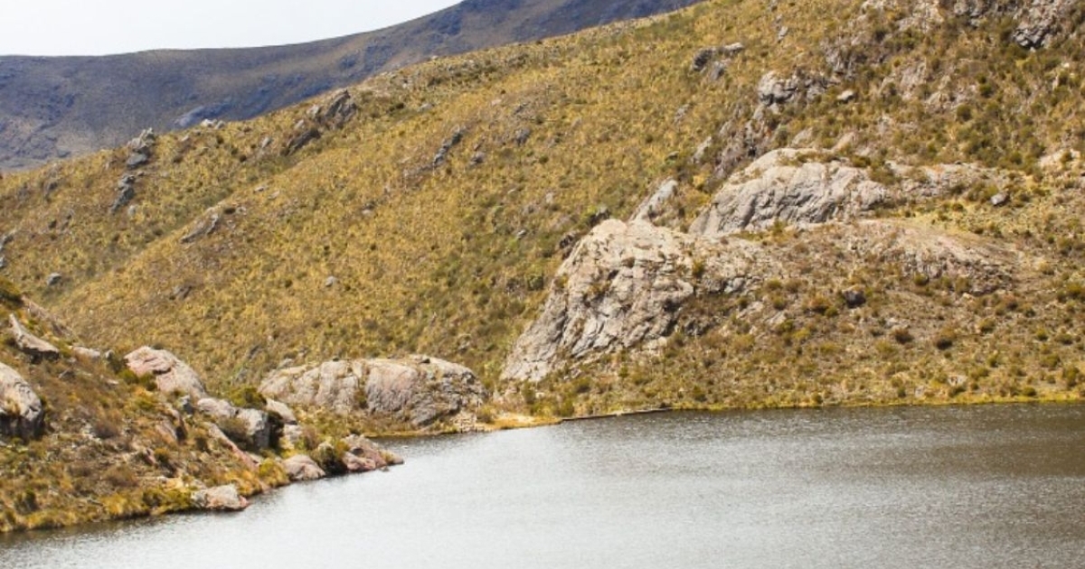Denuncian incumplimientos en protección Páramo de Santurbán