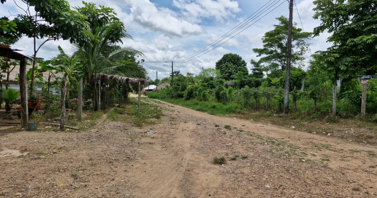 Entrega de hormigas 1.700 hectáreas en Bass Cauca