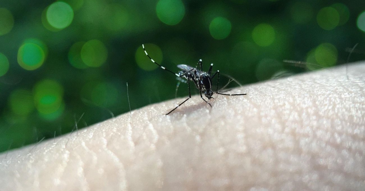 Explique una advertencia sobre la fiebre amarilla en Cundinimarca