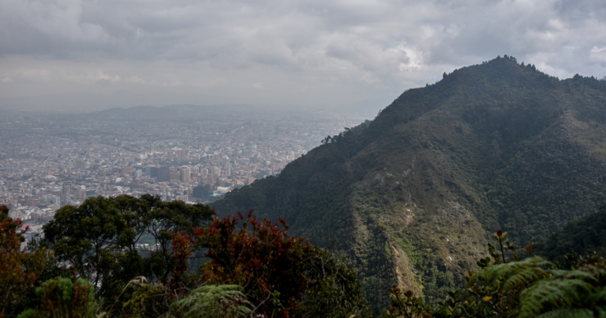 ¿Qué ley de ciudades verdes ha aprobado el Congreso?