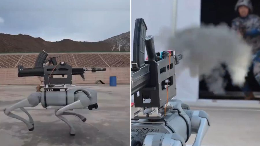 Robot Dog con un rifle muestra sus habilidades de "caza"