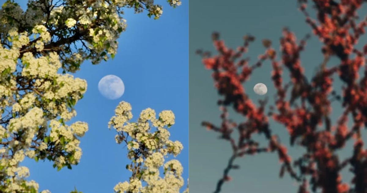 ¿Cuándo y cómo ver la luna de la flor en Colombia en 2025?