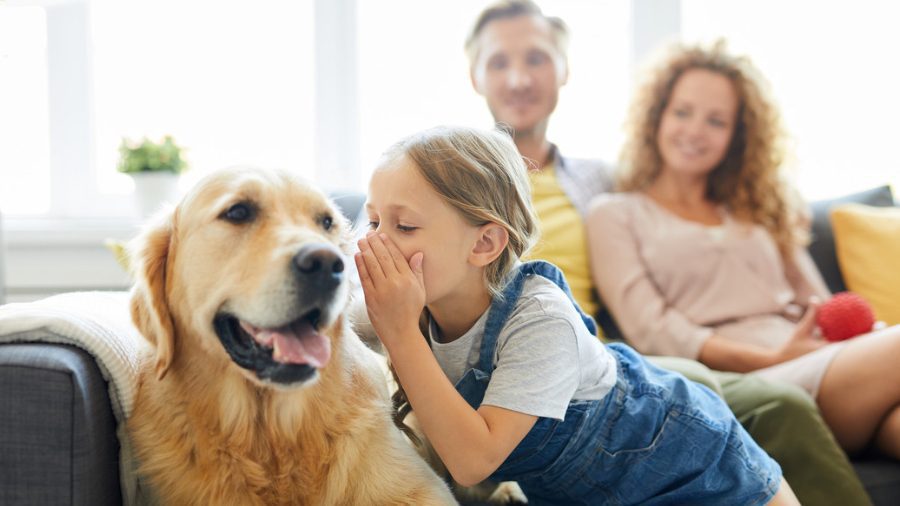 AI podría ayudarnos a "hablar" con animales