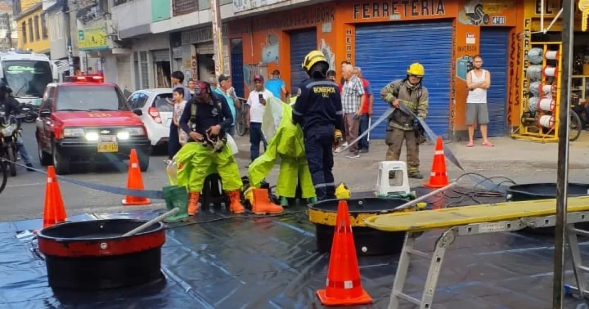 Fuego químico en las hojas de la Calia herida en el vecindario de porvenir