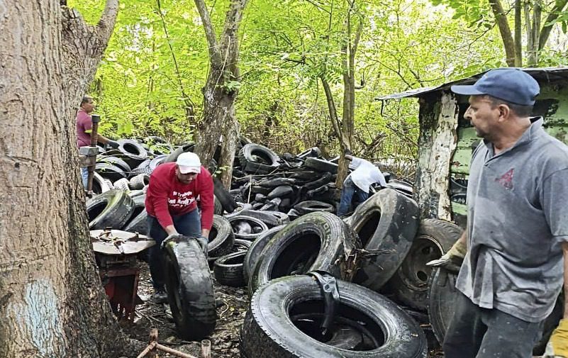 Extraen más de mil llantas en Bahía Hooker para su aprovechamiento en Cartagena